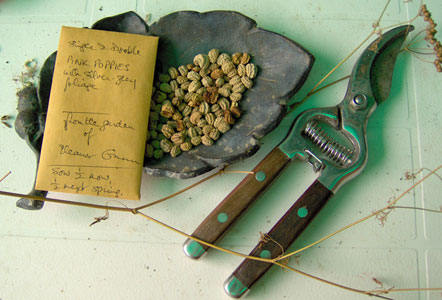 gardening tools