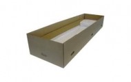 coffin-feature