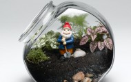 terrarium_lg