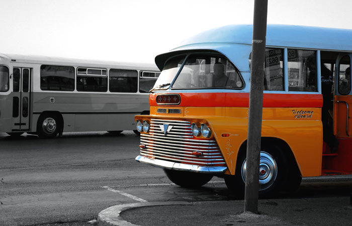 buses