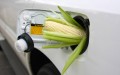 Using Corn as Fuel