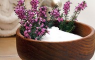 epsom-salt