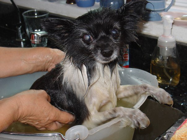millie-bath