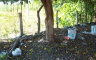 cleanup jarretaderas