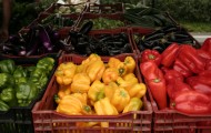 farmers market