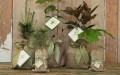 Wedding Favours