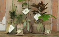 Wedding Favours