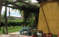 Sutcliffe-winery