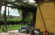 Sutcliffe-winery