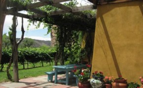 Sutcliffe-winery