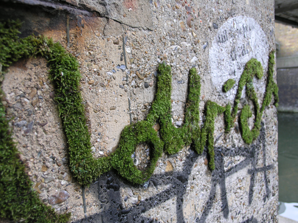 eco-graffiti-_nourishintro eco-graffiti-_nourishintro
