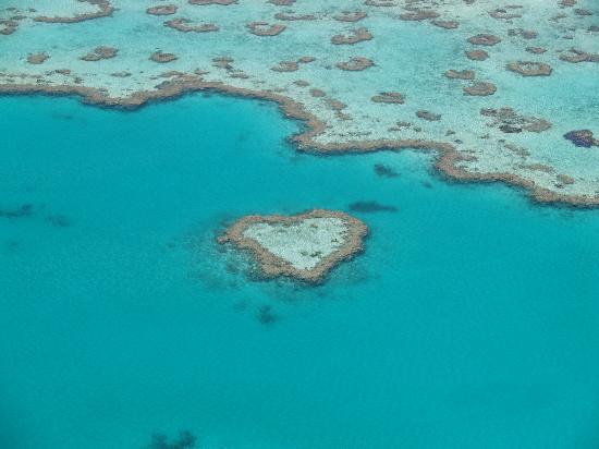 heart-shaped-reef