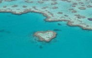 heart-reef