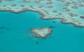 heart-reef