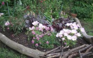 raised-garden-bed