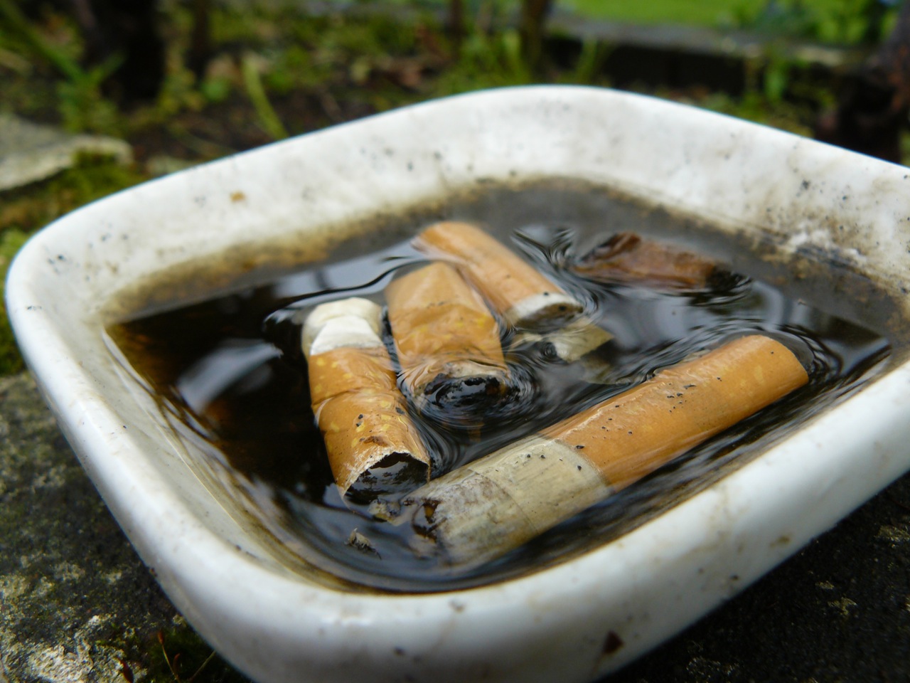 cigs