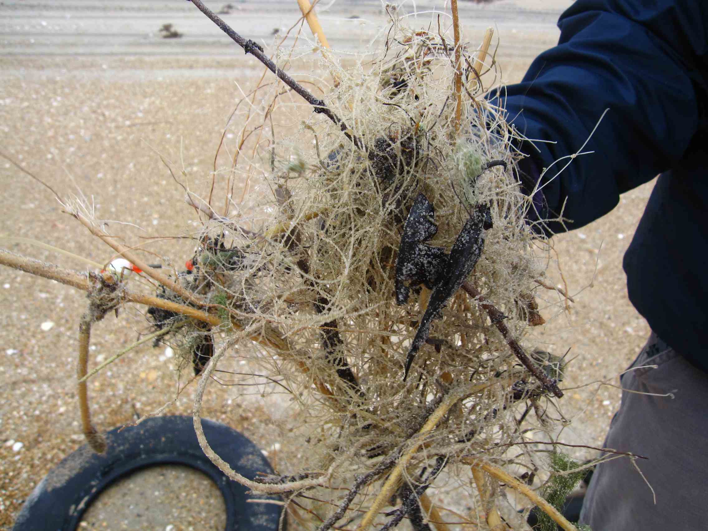 fishing line