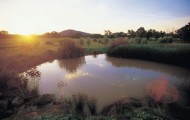Murray-Darling