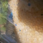 mould3