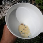 mould6