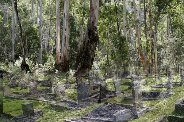 Busland Burials
