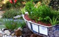 pond-ponics-feature