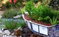 pond-ponics-feature