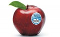 fruit-wash-feature
