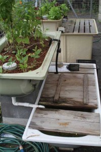 This bathtub aquaponics system is a low tech solution