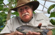 murray-hallam-feature