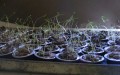 k-pod-planter-featured