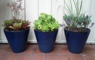planters