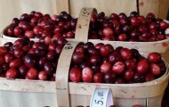 Halfsies aims to reduce food waste while alleviating food insecurity and obesity in the United States. (Photo credit: Bernard Pollack)