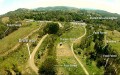 food-forest-systems